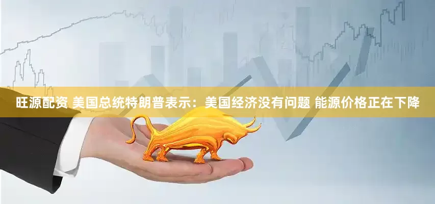 旺源配资 美国总统特朗普表示：美国经济没有问题 能源价格正在下降