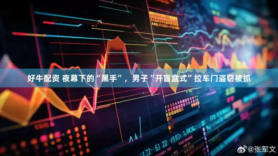 好牛配资 夜幕下的“黑手”，男子“开盲盒式”拉车门盗窃被抓