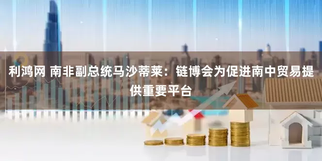 利鸿网 南非副总统马沙蒂莱：链博会为促进南中贸易提供重要平台