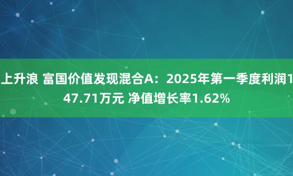 上升浪 富国价值发现混合A：2025年第一季度利润147.71万元 净值增长率1.62%