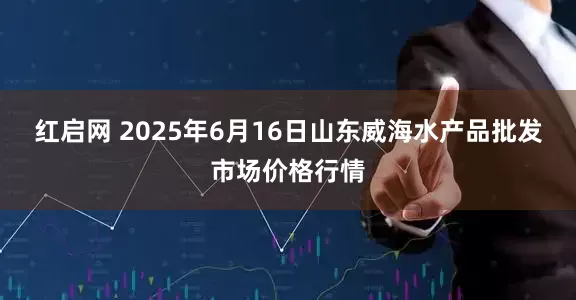 红启网 2025年6月16日山东威海水产品批发市场价格行情
