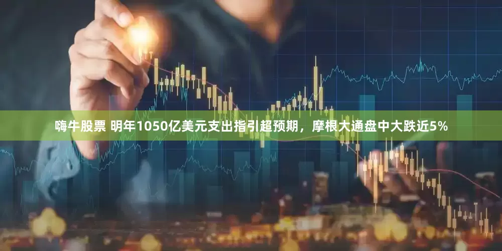 嗨牛股票 明年1050亿美元支出指引超预期，摩根大通盘中大跌近5%